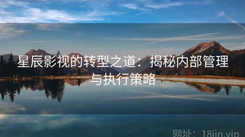 星辰影视的转型之道：揭秘内部管理与执行策略