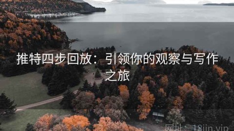 推特四步回放：引领你的观察与写作之旅