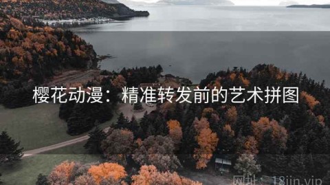 樱花动漫：精准转发前的艺术拼图