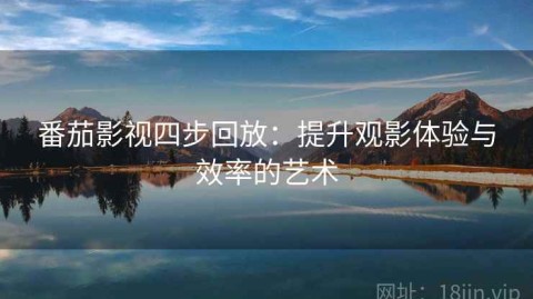 番茄影视四步回放：提升观影体验与效率的艺术