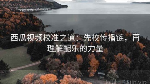 西瓜视频校准之道：先校传播链，再理解配乐的力量