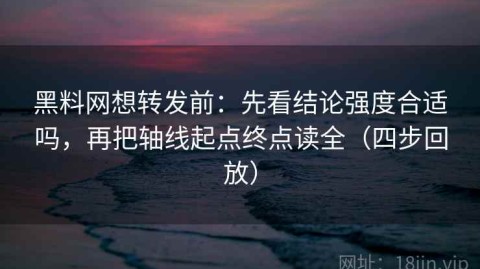 黑料网想转发前：先看结论强度合适吗，再把轴线起点终点读全（四步回放）