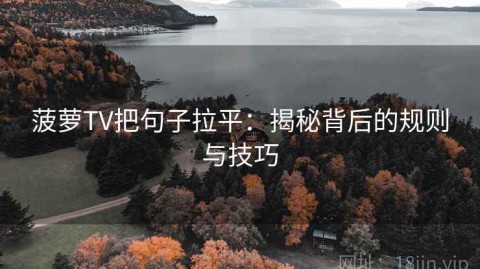 菠萝TV把句子拉平：揭秘背后的规则与技巧