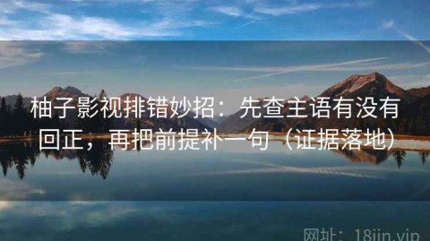 柚子影视排错妙招：先查主语有没有回正，再把前提补一句（证据落地）