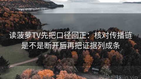 读菠萝TV先把口径回正：核对传播链是不是断开后再把证据列成条