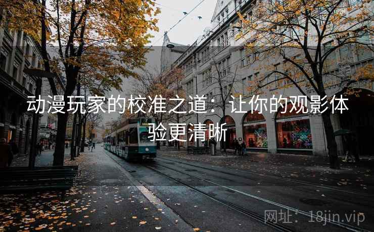 动漫玩家的校准之道：让你的观影体验更清晰