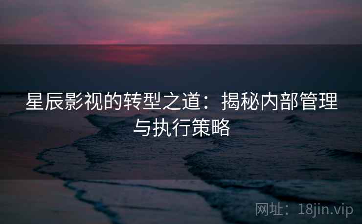 星辰影视的转型之道：揭秘内部管理与执行策略