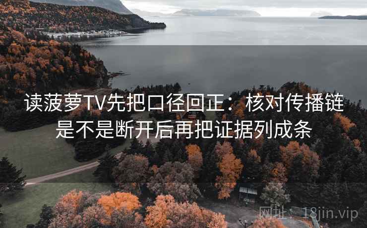 读菠萝TV先把口径回正：核对传播链是不是断开后再把证据列成条