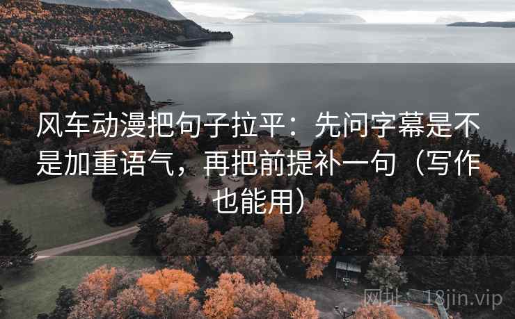 风车动漫把句子拉平：先问字幕是不是加重语气，再把前提补一句（写作也能用）